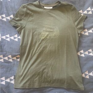 Icebreaker merino tshirt